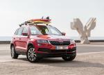 Skoda Karoq 2017 года (WW)